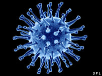 h5n1-virus.jpg